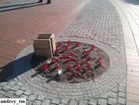 Imagine atasata: IMG_20141213_124636.jpg